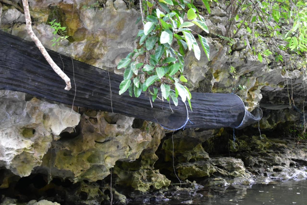 Kasijala Kampoeng Karst Rammang Rammangゲストハウス エクステリア 写真