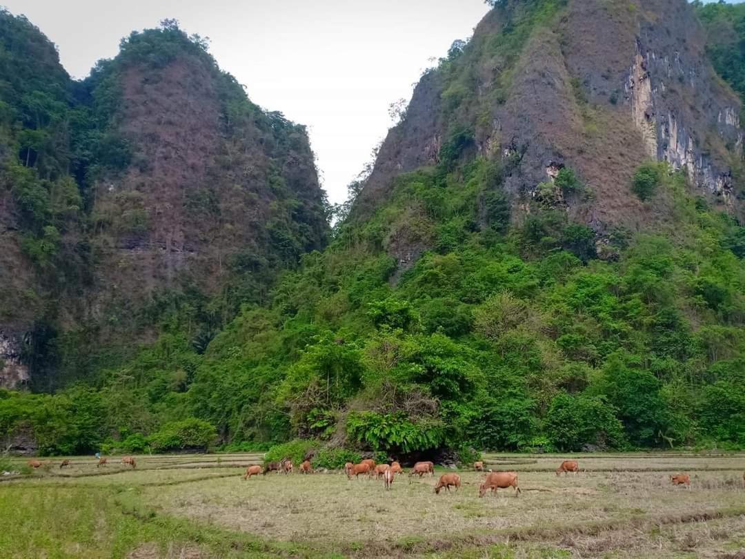 Kasijala Kampoeng Karst Rammang Rammangゲストハウス エクステリア 写真