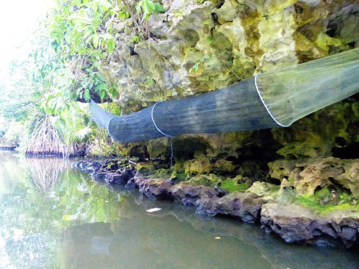 Kasijala Kampoeng Karst Rammang Rammangゲストハウス エクステリア 写真