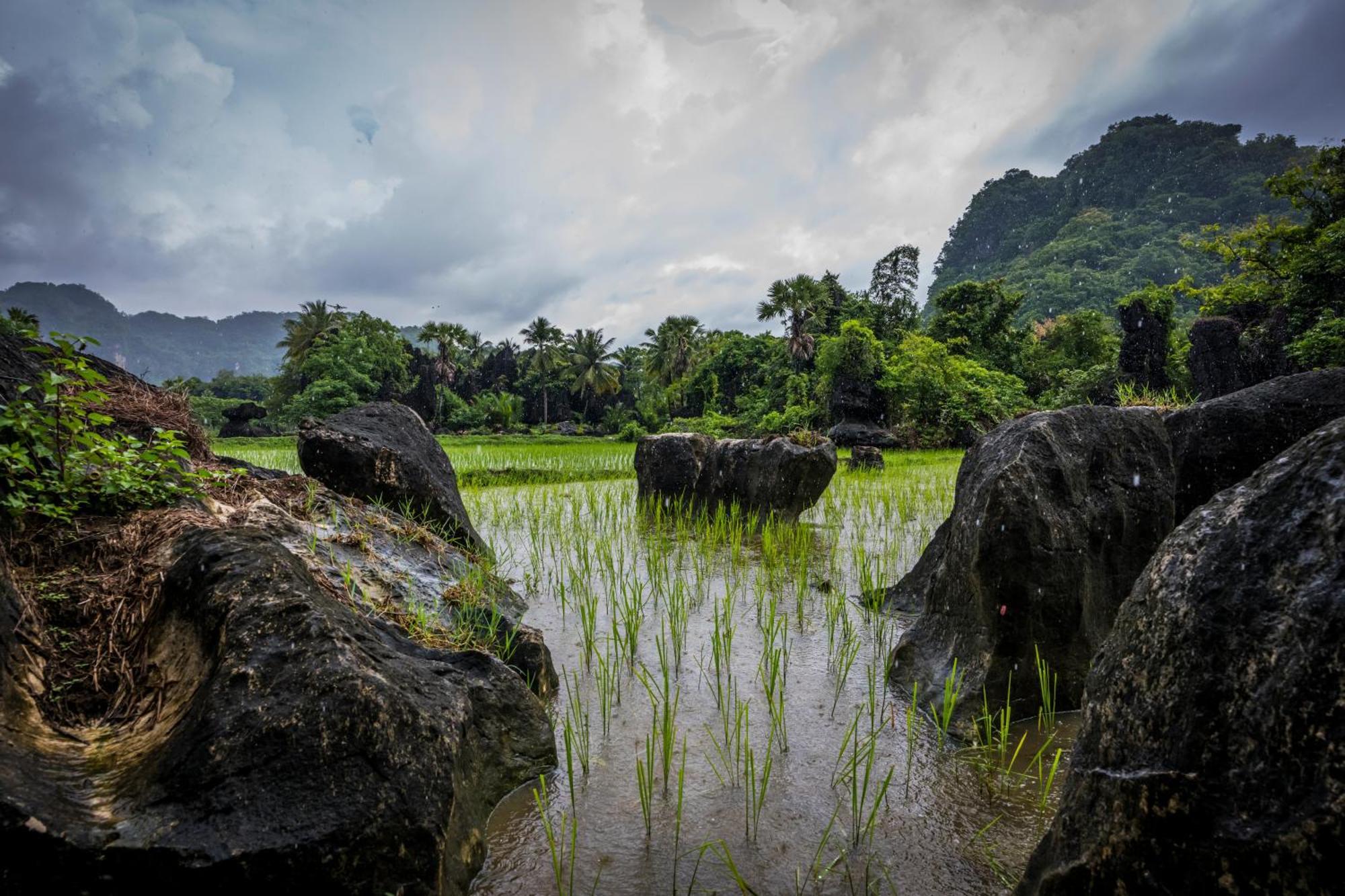 Kasijala Kampoeng Karst Rammang Rammangゲストハウス エクステリア 写真