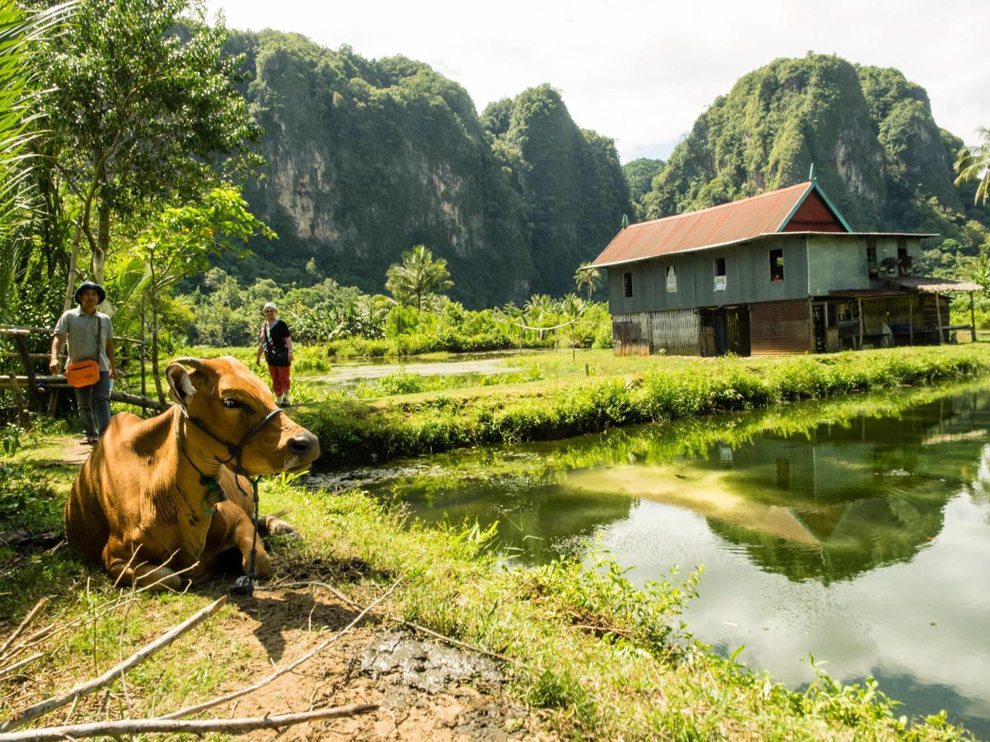 Kasijala Kampoeng Karst Rammang Rammangゲストハウス エクステリア 写真