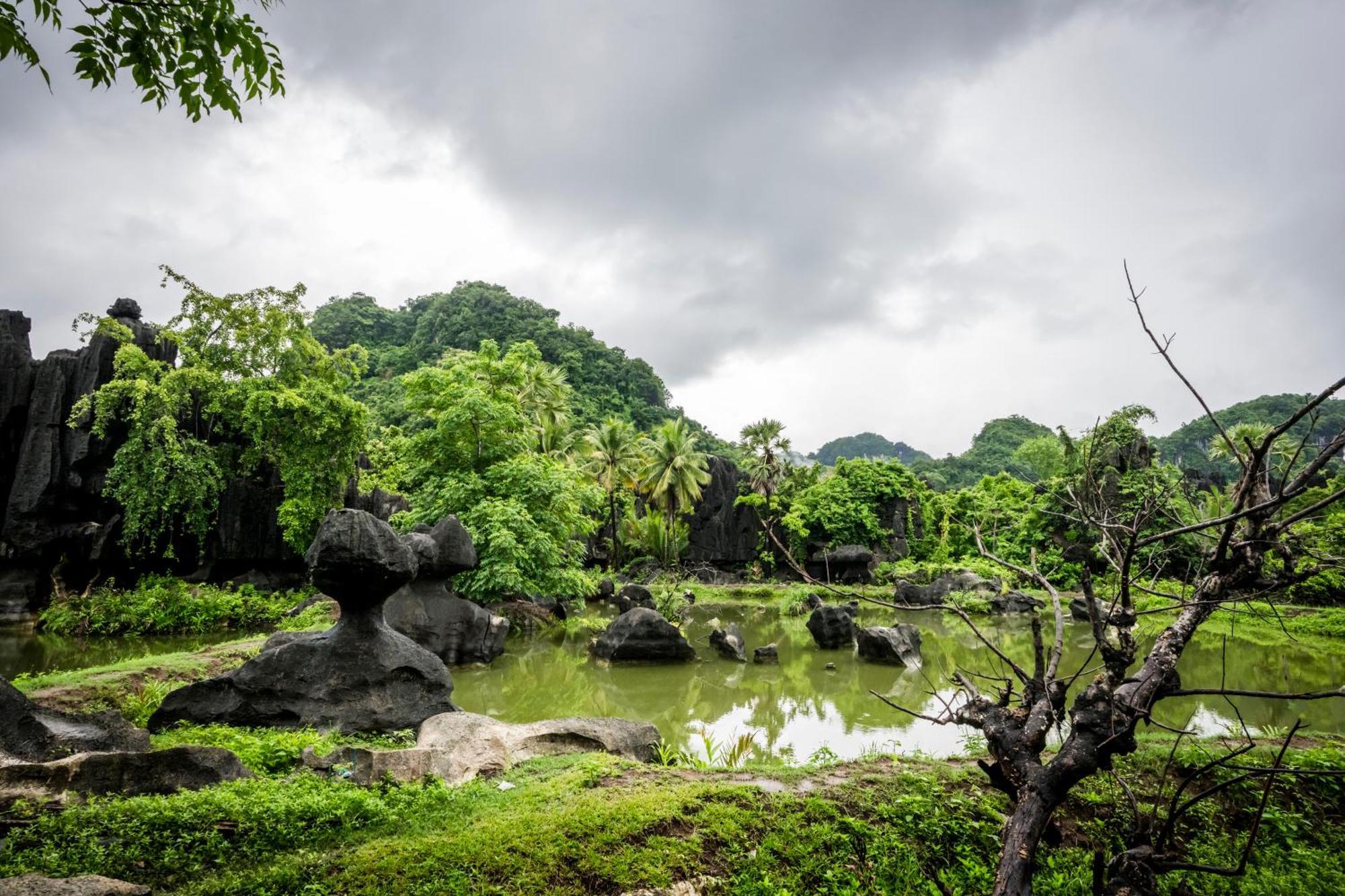 Kasijala Kampoeng Karst Rammang Rammangゲストハウス エクステリア 写真