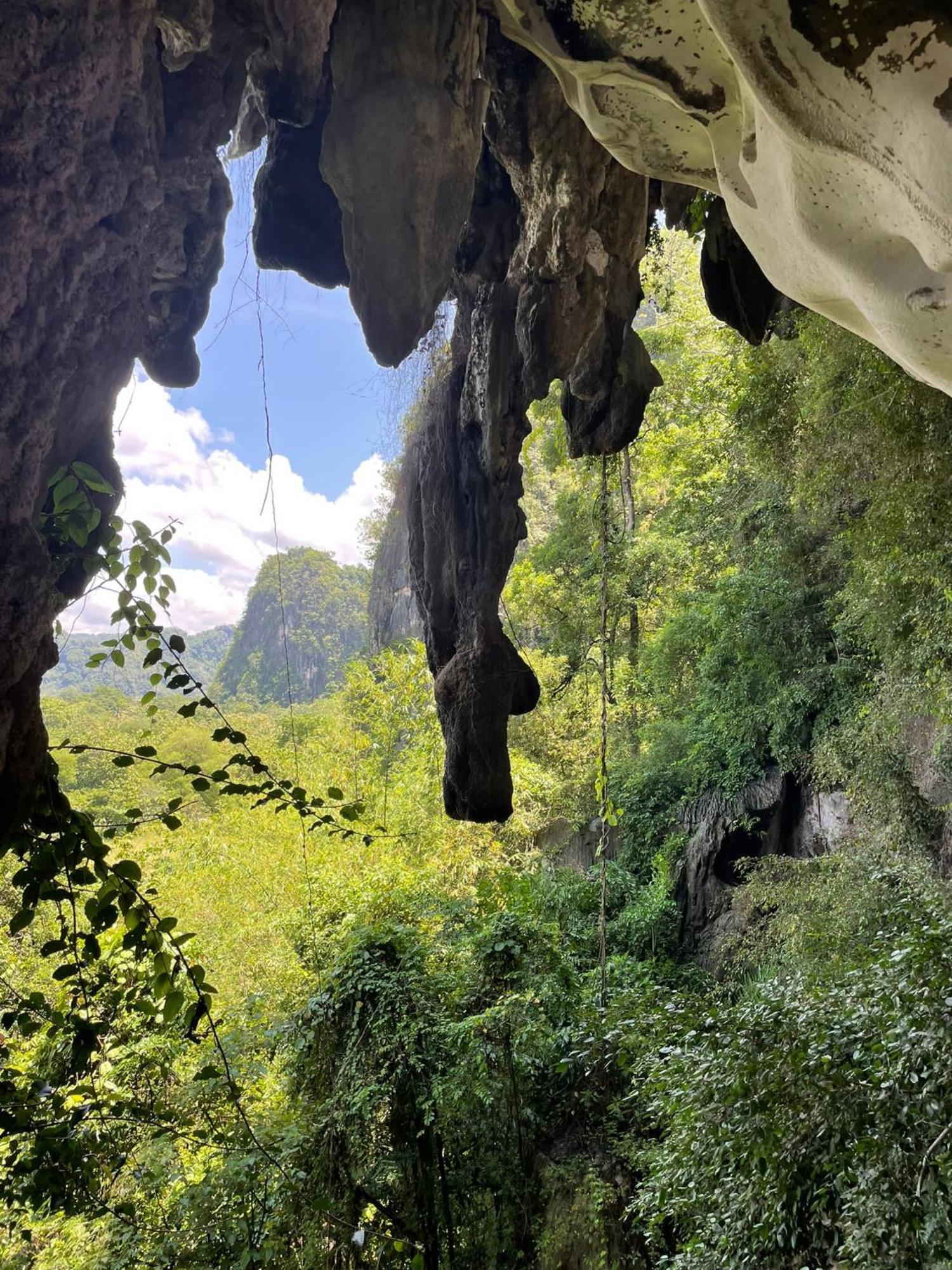 Kasijala Kampoeng Karst Rammang Rammangゲストハウス エクステリア 写真